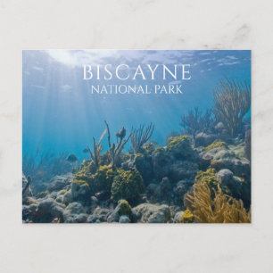 Carte Postale Corail, Plantes, Poissons, Biscayne National Park,
