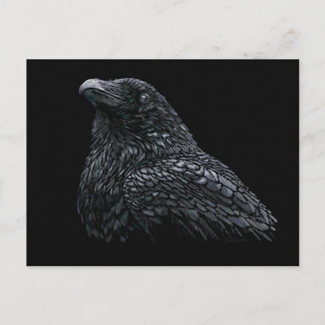 Carte Postale Corbeau (Devant)