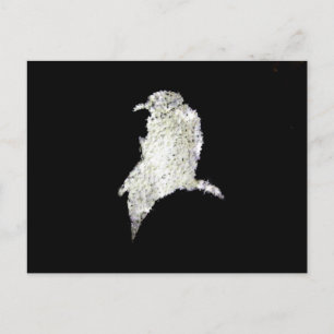 Carte Postale Corbeau
