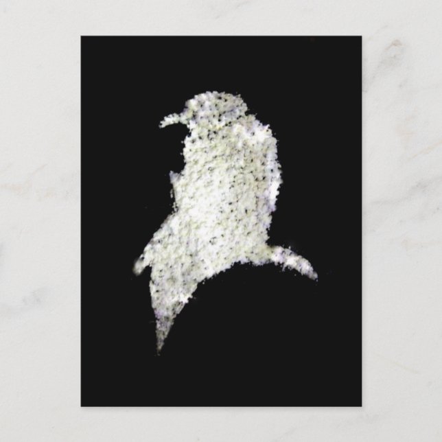 Carte Postale Corbeau (Devant)