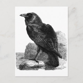 Carte postale Corbeau