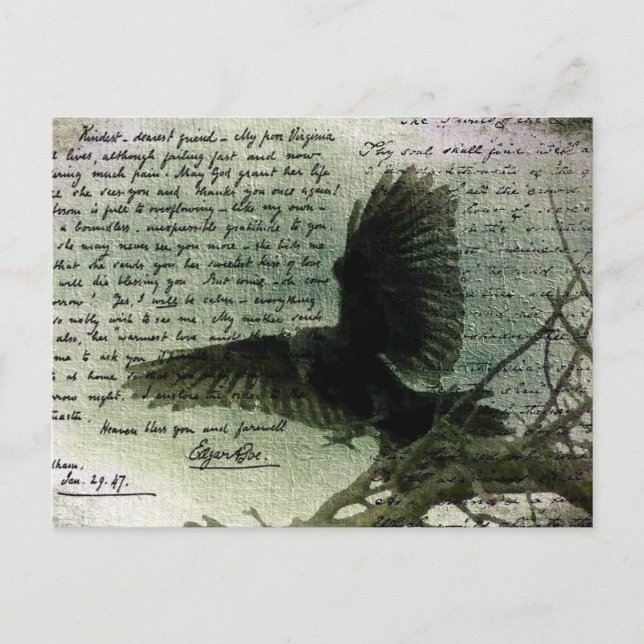 Carte Postale Corbeau 3 (Devant)