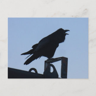 Carte Postale Corbeau à Silhouette, île de l'Unalaska