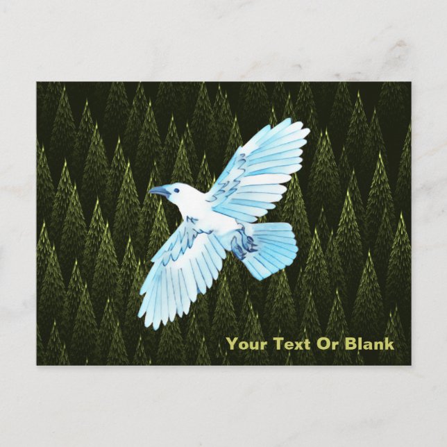 Carte Postale Corbeau blanc sur conifères fragiles (Devant)