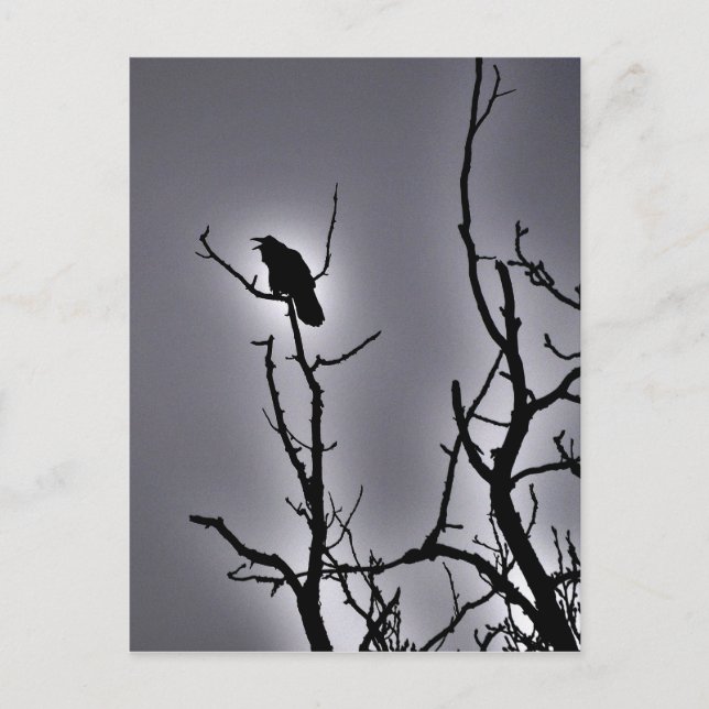 Carte Postale Corbeau dans une nuit éclairée par la lune (Devant)