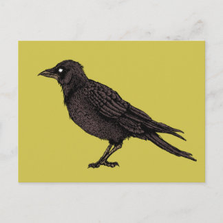 Carte Postale Corbeau Déplaisant Corbeau Lumineux d'encre gothiq