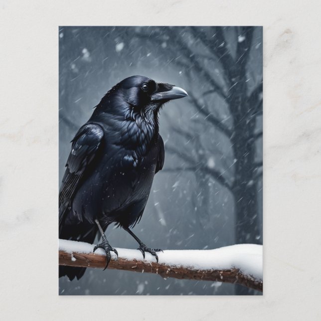 Carte Postale Corbeau noir du corbeau sombre (Devant)