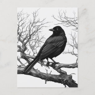 Carte Postale Corbeau perché sur des branches nues d'hiver