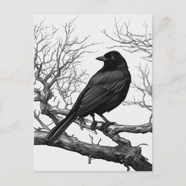 Carte Postale Corbeau perché sur des branches nues d'hiver (Devant)