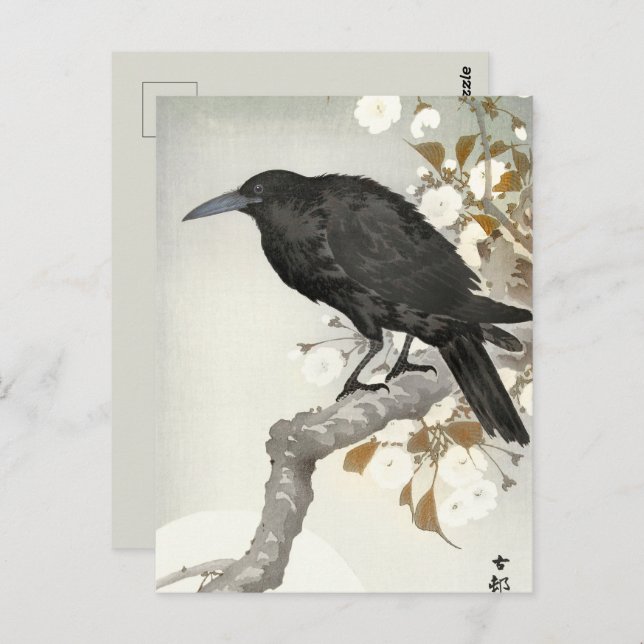 Carte Postale Corbeau Raven Koson Oiseau japonais (Devant / Derrière)