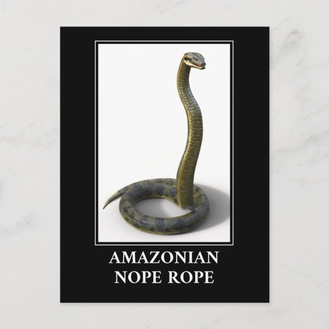 Carte Postale Corde de Nope Amazonienne - Anaconda Snake Danger (Devant)