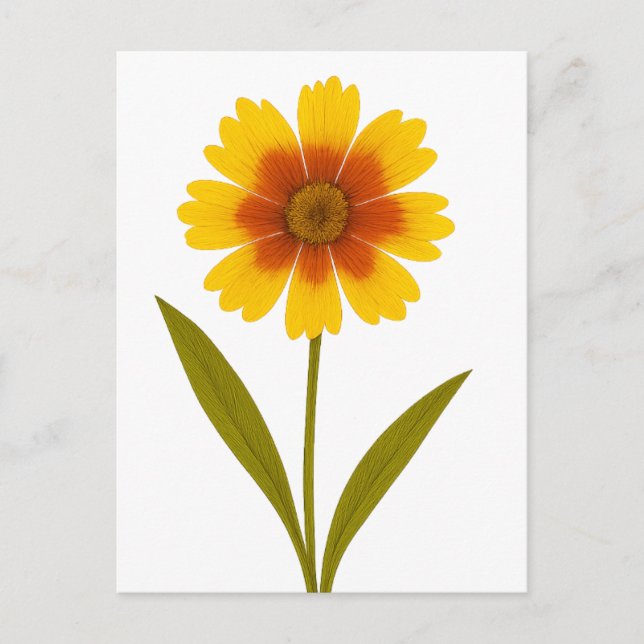 Carte Postale Coréopsis — Bonne humeur (Devant)
