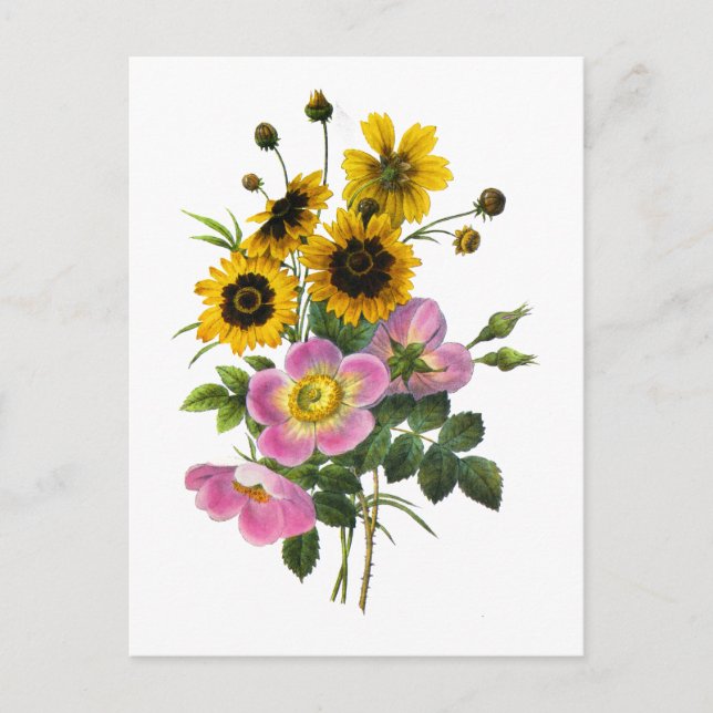 Carte Postale Coréopsis et Roses Hips Redoute Bouquet (Devant)