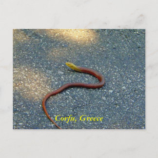 Carte Postale Corfou, Grèce