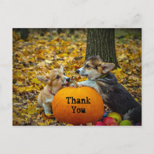Carte Postale Corgi Chien Citrouille Photo de remerciement d'aut