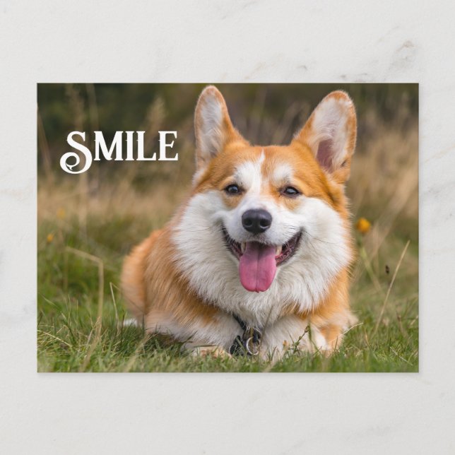Carte Postale Corgi Chien souriant Drôle Animal Sourire (Devant)