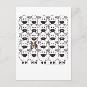 Carte Postale Corgi dans le mouton