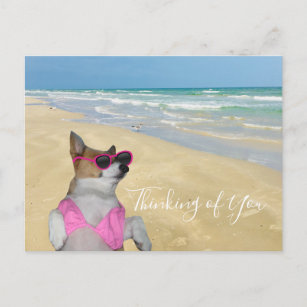Carte Postale Corgi drôle dans Bikini Beach