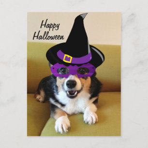 Carte Postale Corgi drôle d'Halloween en costume