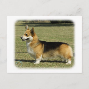 Carte Postale Corgi gallois (Pembroke)