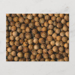 Carte Postale Coriander