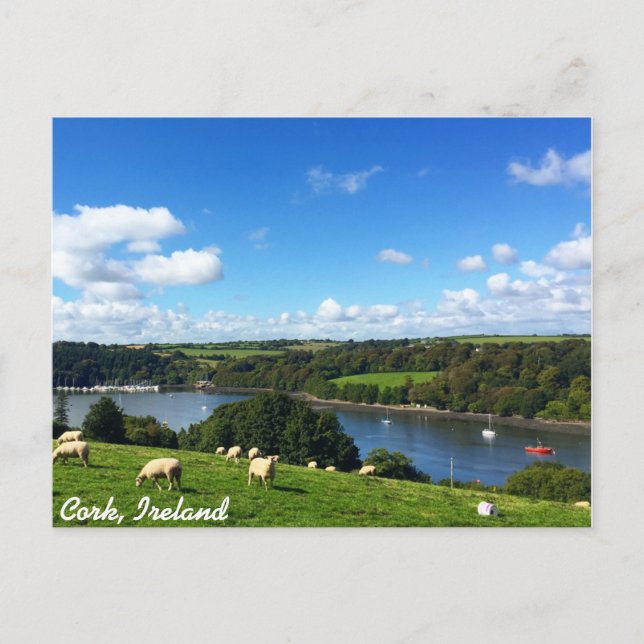 Carte postale Cork, Irlande (Devant)