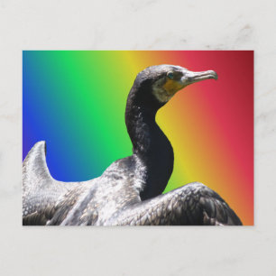 Carte postale Cormorant Rainbow do-it-yourself