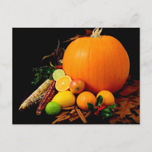 Carte Postale CORN et FRUITS citrouilles