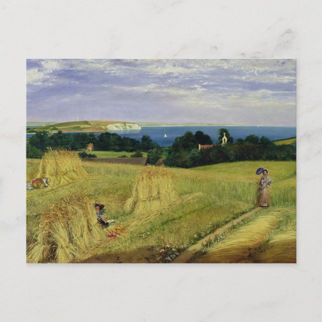Carte Postale Corn Field dans l'île de Wight (Devant)