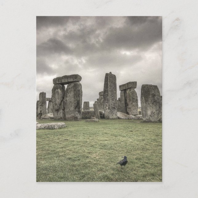 Carte Postale Corneille devant Stonehenge, Angleterre (Devant)