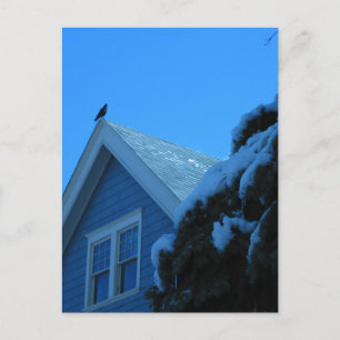 Carte Postale Corneille sur le toit en hiver