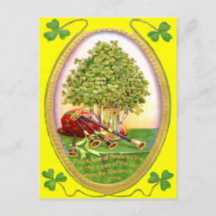 Carte Postale Cornemuses Shamrock Or Vert