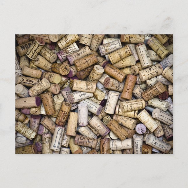 Carte Postale Cornes à vins fins (Devant)