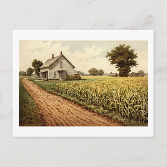 Carte postale - Cornfield Farmhouse (Devant)