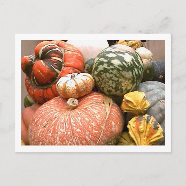 Carte Postale Cornicopie d'automne (Devant)