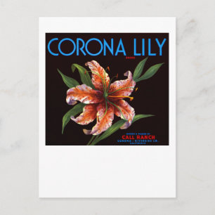 Carte Postale Corona Lily