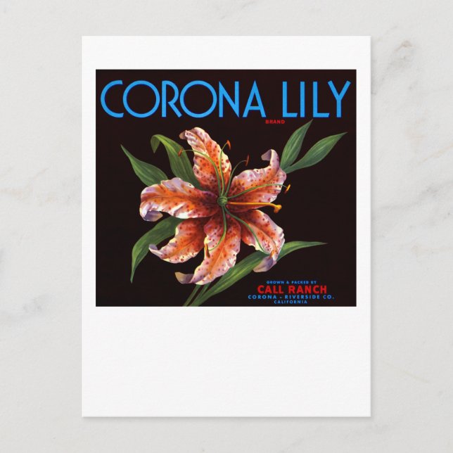 Carte Postale Corona Lily (Devant)