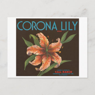 Carte Postale Corona Lily Marque Vintage Étiquette Crate