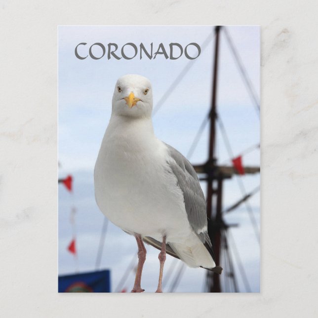 Carte postale Coronado, Seagull et Bateau (Devant)