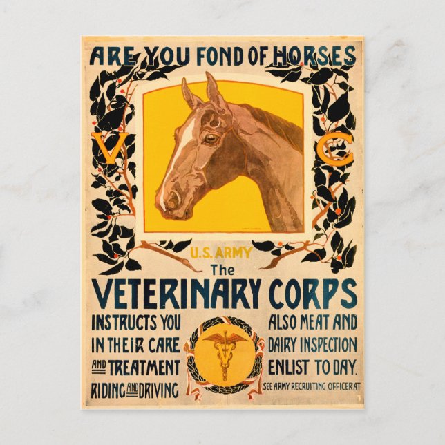 Carte Postale Corps vétérinaire (Devant)