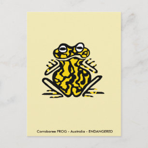 Carte Postale Corroboree FROG - Animaux australiens -Amphibiens 