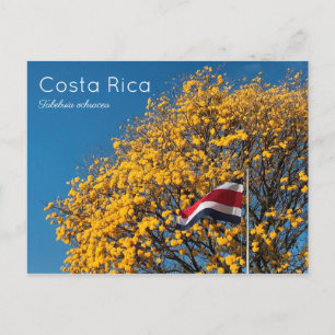 Carte Postale Corteza amarilla Costa Rica