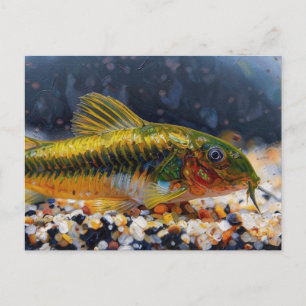 Carte Postale Corydoras poisson chat laser vert