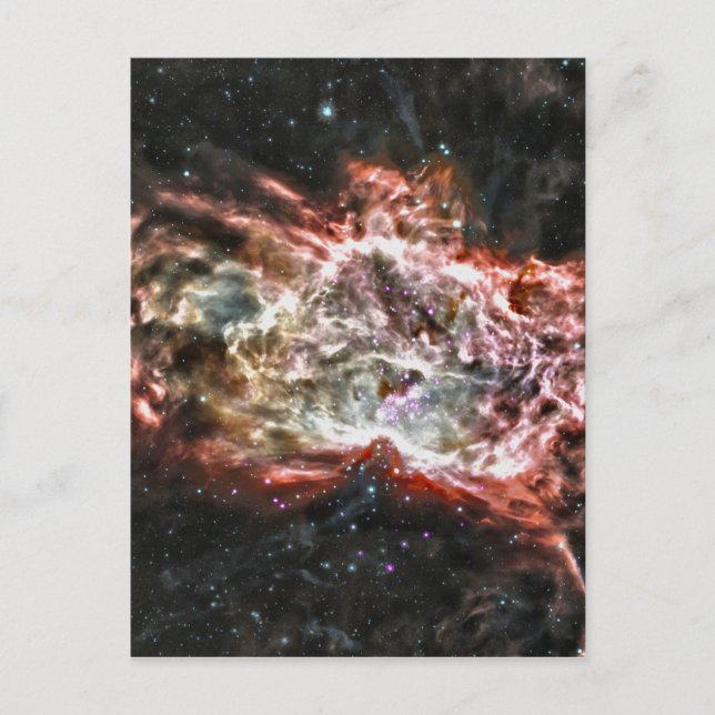 Carte Postale Cosmos colorés (Devant)