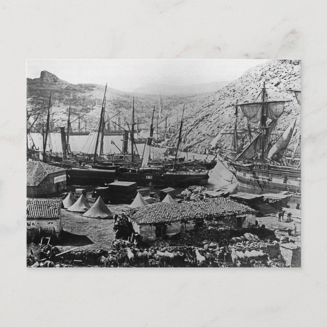 Carte Postale Cossack Bay, Crimée, c.1855 (Devant)