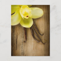 Cosses et fleur de vanille au-dessus d'arrière -