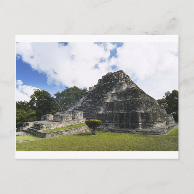 Carte Postale Costa Maya Chacchoben Ruines Maya (Devant)