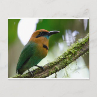 Carte postale Costa Rica