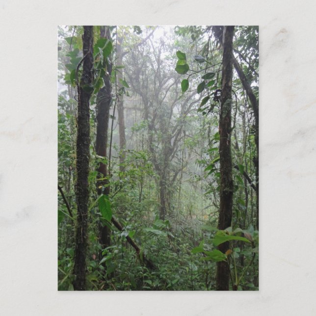 Carte Postale costa rica (Devant)