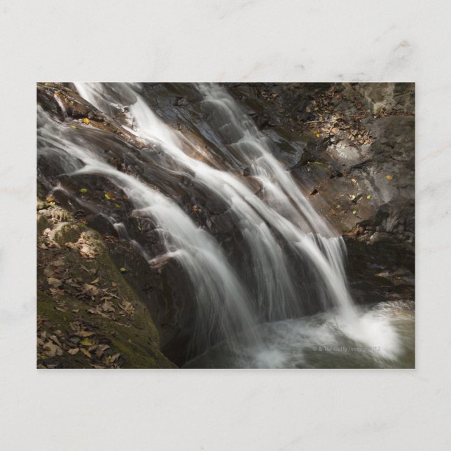 Carte Postale Costa Rica, Cascade à écoulement rapide (Devant)